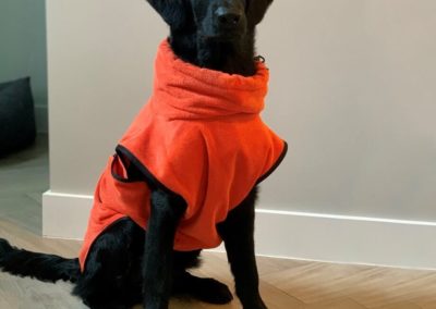 Badjas hond clasisc oranje
