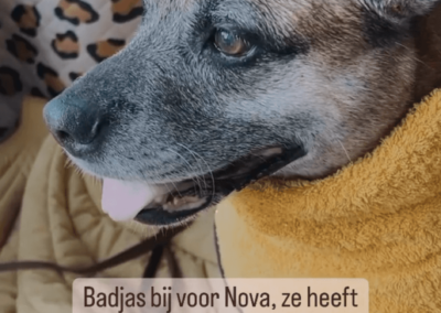 Badjas hond katoen