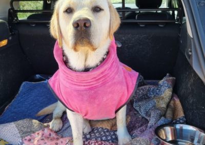 Honden badjas roze