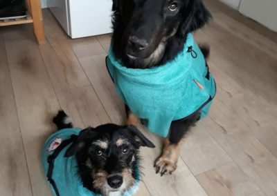 Hondenbadjas clasisc aquablauw