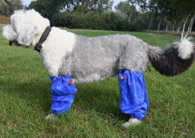 Sokken mouwen voor honden hondensokken hondenmouwen trimsalon blauw